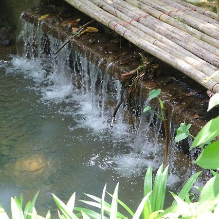 Baan Rai Me Rak Organic Farmstay Pa Khlok エクステリア 写真